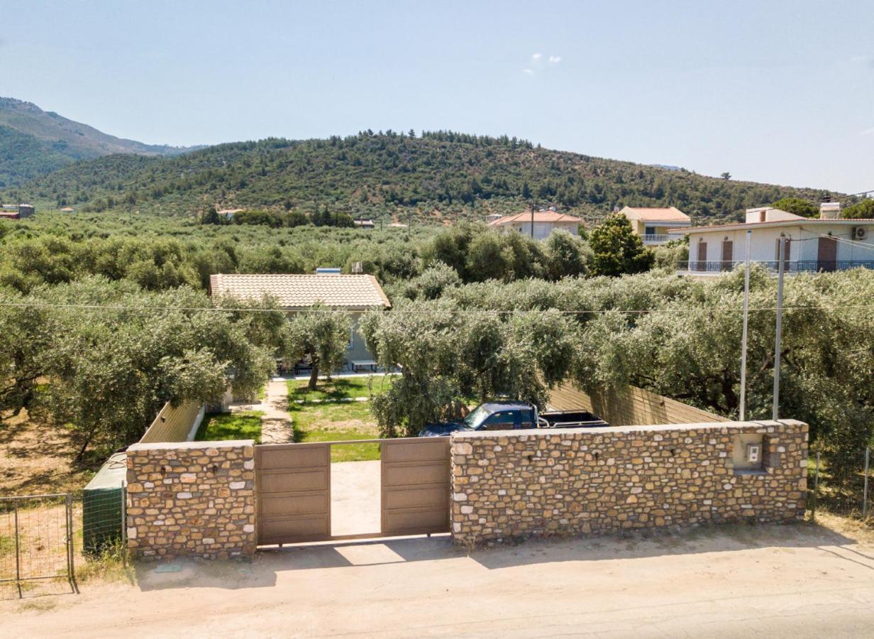 Villa 4 You Iliopetra 斯卡拉索提罗斯 外观 照片